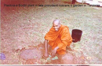 2001.oi.oi planting a Bodhi at nyerere''s home.jpg